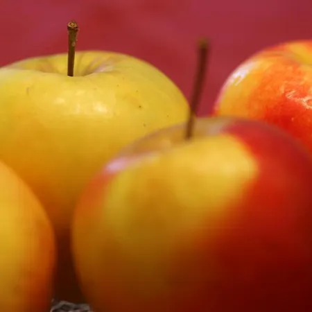 Gaestehaus Ortner 4*