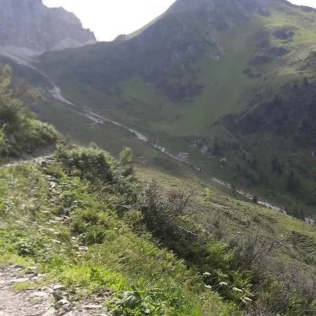 Gaestehaus Ortner 4* Liesing