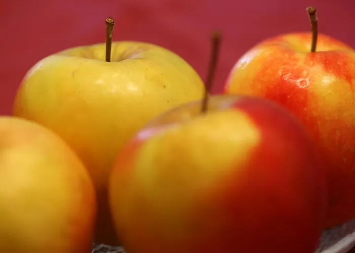 Gaestehaus Ortner 4*