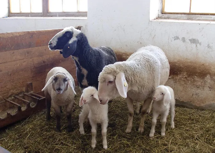 Gastehaus Ortner Guest house