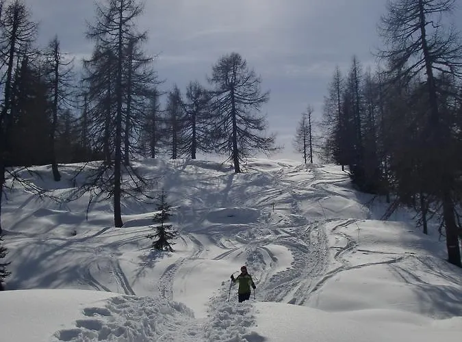 בית הארחה Gaestehaus Ortner Liesing